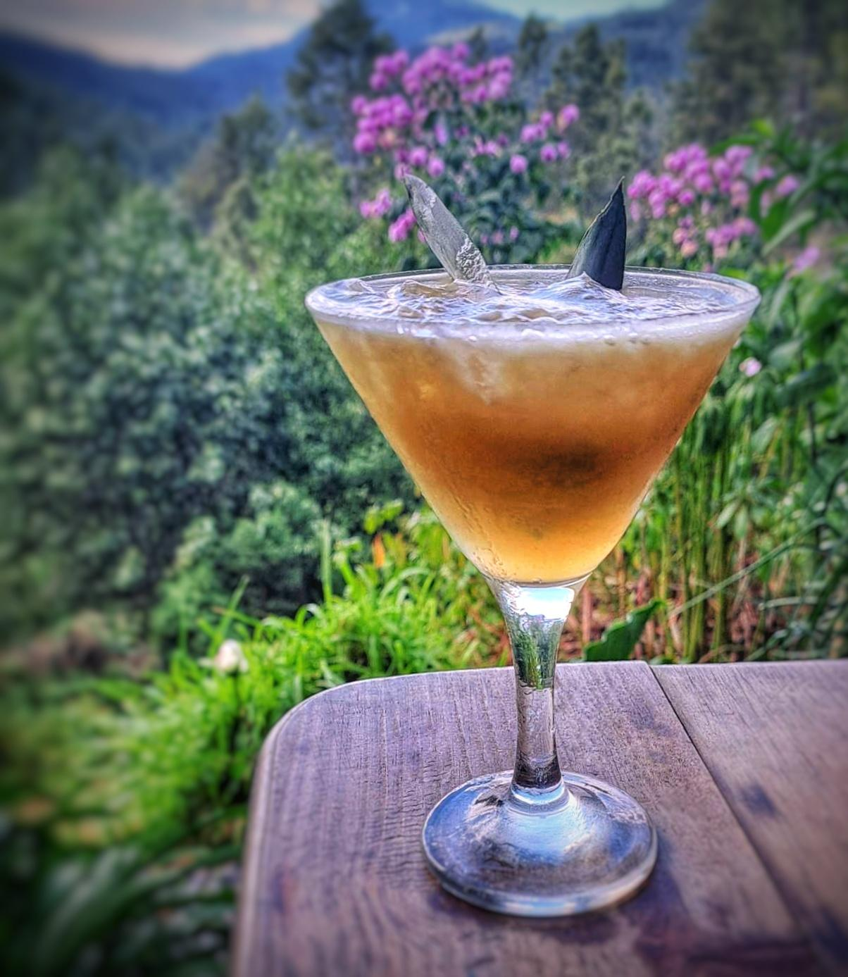 Tropical cocktail with a view of nature